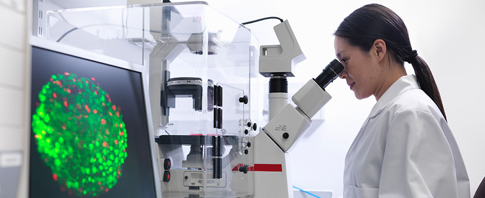 Scientist looking in microscope